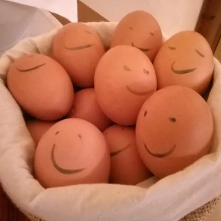 Hotel Marienhof Baumberge Nottuln