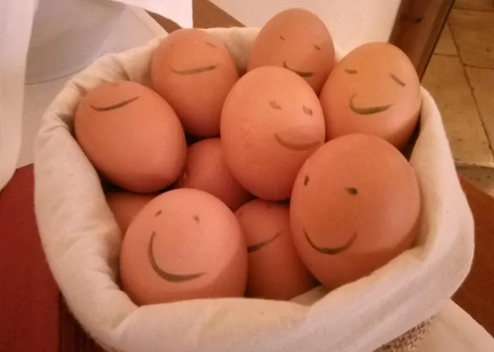 ホテル Marienhof Baumberge ノットウルン